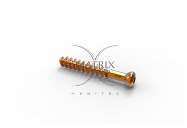 Cancellous Screw 6.5mm, 32mm Thread